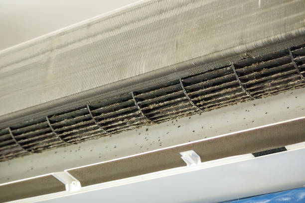 Best Local Air Duct Cleaning Services  in East Hazel Crest, IL